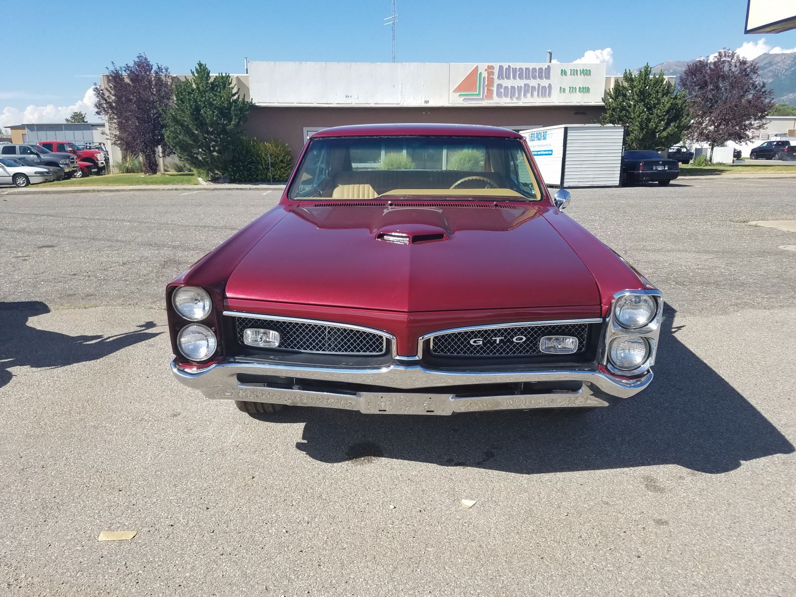 1967 GTO